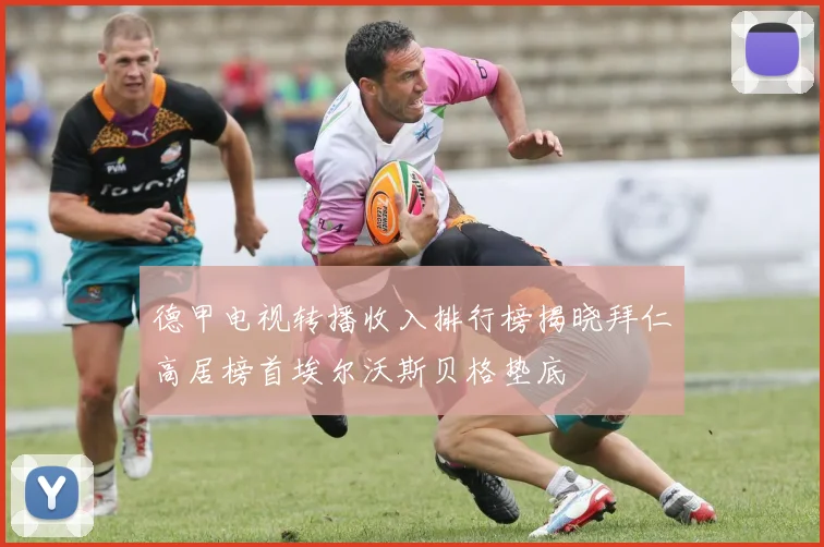 德甲电视转播收入排行榜揭晓拜仁高居榜首埃尔沃斯贝格垫底