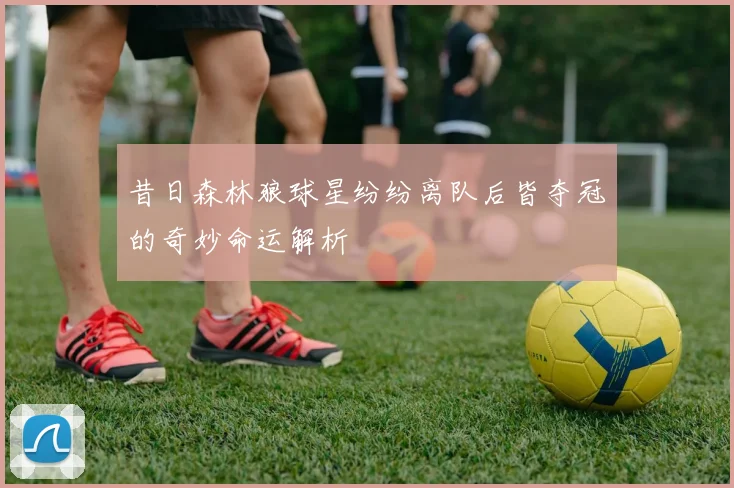 昔日森林狼球星纷纷离队后皆夺冠的奇妙命运解析