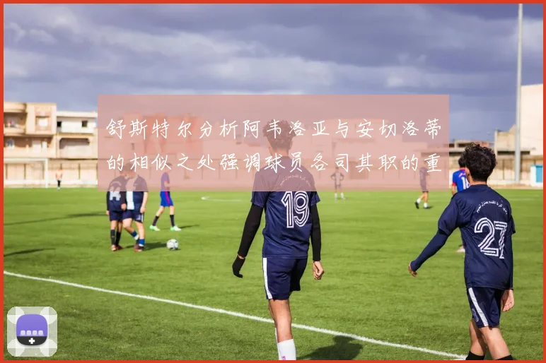 舒斯特尔分析阿韦洛亚与安切洛蒂的相似之处强调球员各司其职的重要性